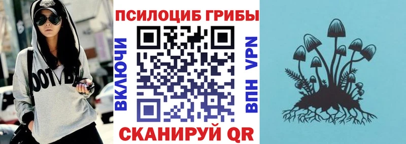 Галлюциногенные грибы Cubensis Салехард