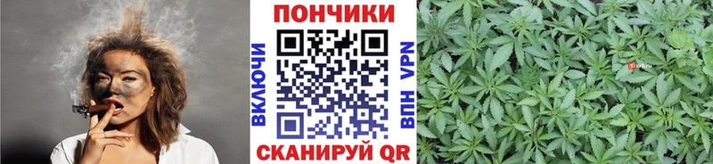 Канабис THC 21%  Салехард 